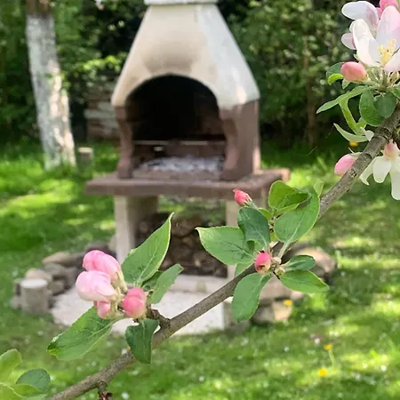 Holiday home Dom Z Sadem *