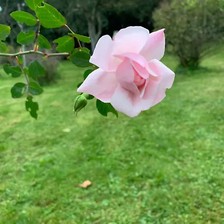 Holiday home Dom Z Sadem Pisarzowice (Bielsko)