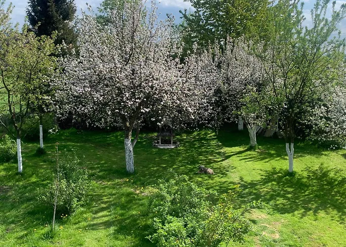 בית נופש Dom Z Sadem